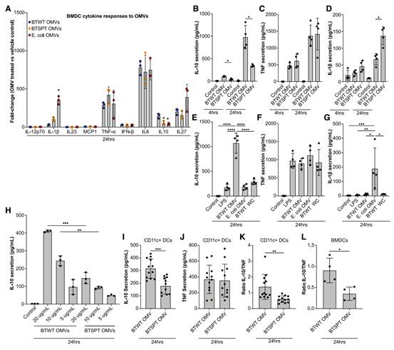 Cell Host & Microbe:肠道细菌鞘脂介导宿主构筑抗炎防线