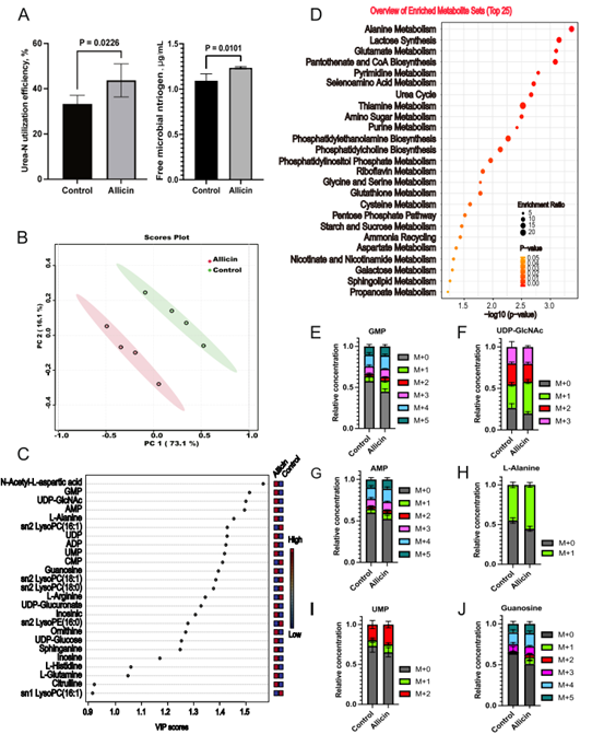 Microbiome：王加启/赵圣国团队揭示大蒜素提高反刍动物氮利用率的分子机制