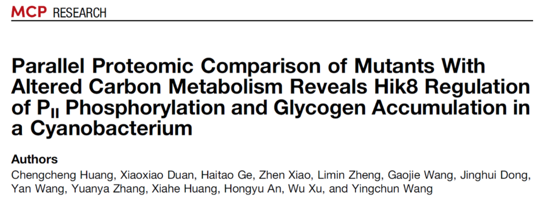 TMT结合PRM定量解析蓝细菌碳代谢蛋白质调控