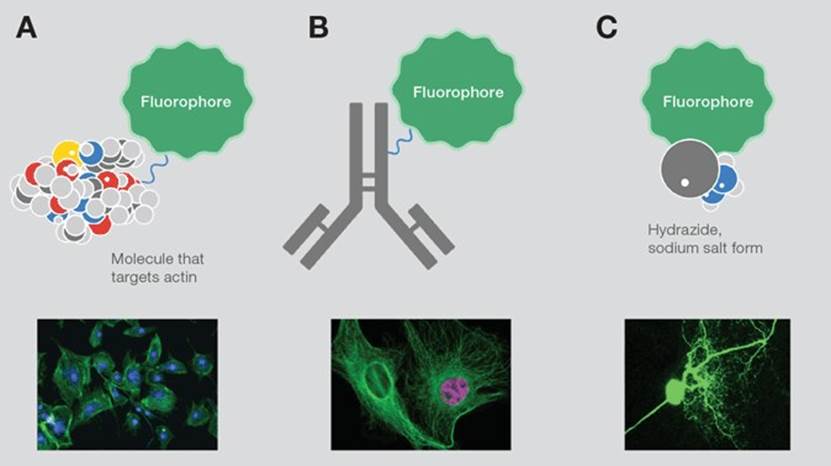 图示

AI 生成的内容可能不正确。