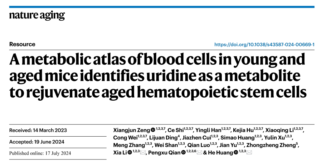 nature aging(IF=17)｜浙大黄河教授团队解码造血干细胞 “衰老密码”：代谢图谱锁定尿苷并揭示功能逆转新机制