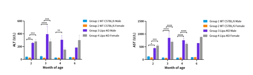 实鼠罕见 | 溶酶体酸性脂肪酶缺乏症（LAL-D）小鼠模型