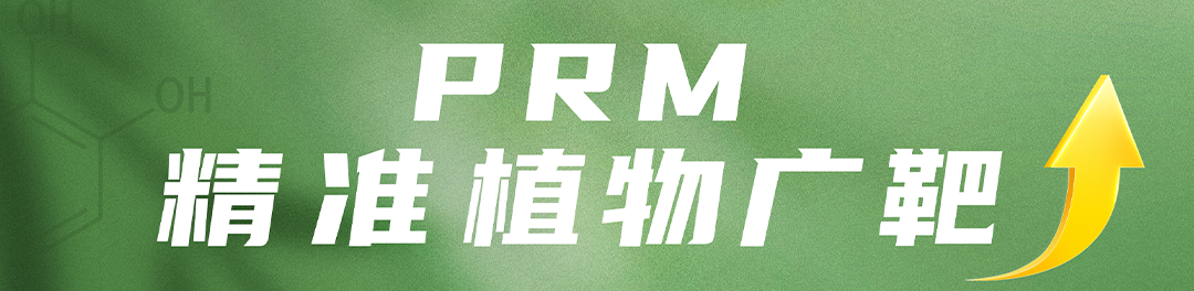 超乎预期｜PRM精广·三重聚焦