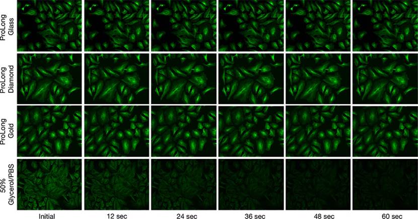 图片包含 背景图案

AI 生成的内容可能不正确。
