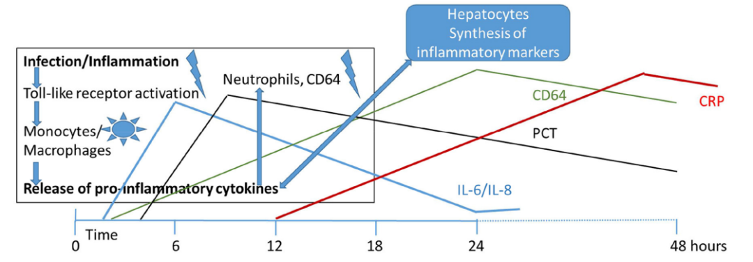 专家共识力荐的“感染判官“——年中盘点关于中性粒细胞 CD64 指数的专家共识