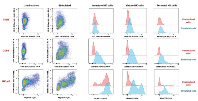 形状, 多边形
AI 生成的内容可能不正确。