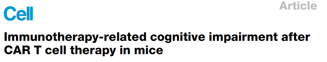 Cell 重磅：CAR-T 治疗为何导致认知障碍？神经免疫机制揭秘与干预新策略