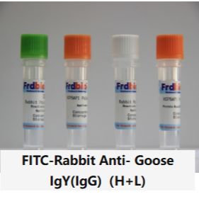 FITC-Rabbit Anti- Goose IgY(IgG)(H+L)
