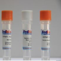 Cy5-Goat Anti-Sheep IgG(H+L)