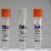 Cy5-Goat Anti-Sheep IgG(H+L)