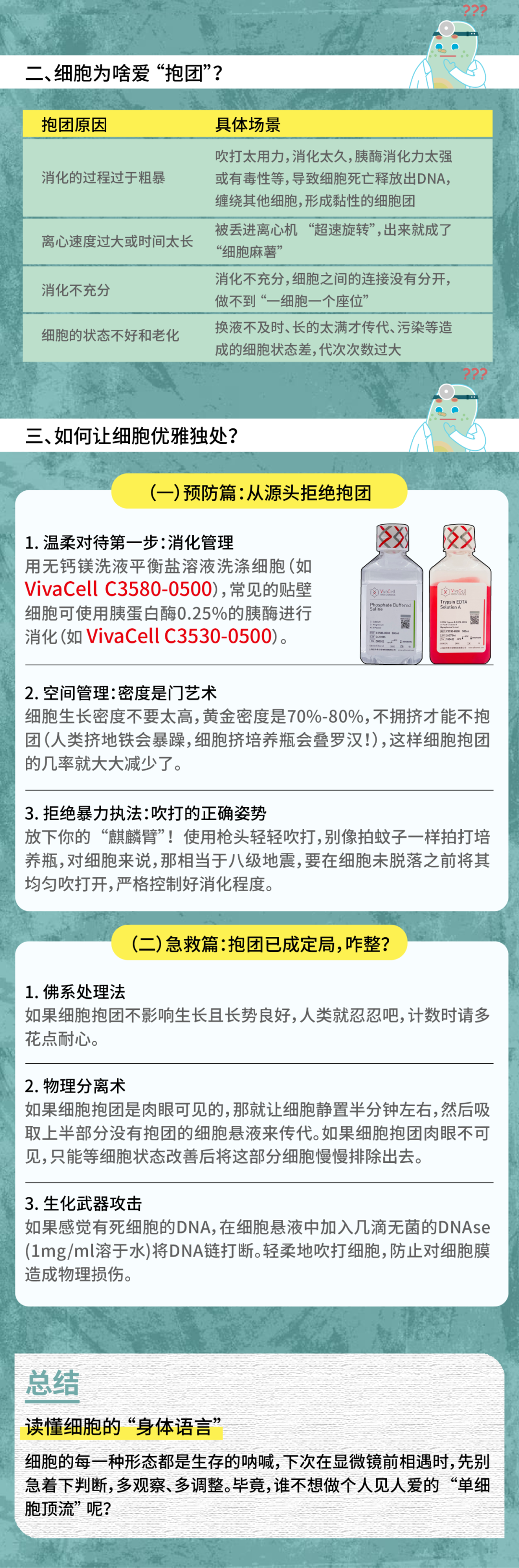 【希尔博士课堂】解密细胞“抱团”：是团结还是隐患？