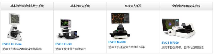 图形用户界面, 应用程序

AI 生成的内容可能不正确。