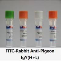 FITC-Rabbit Anti-Pigeon IgY(H+L)