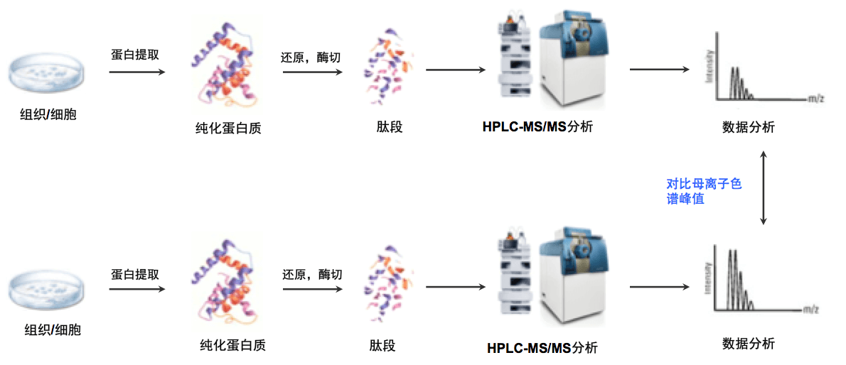 无标记定量蛋白组学