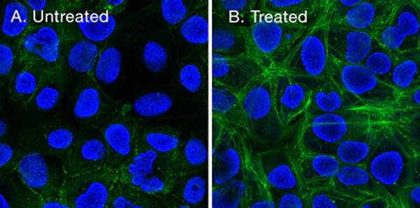 图片包含 游戏机, 动物, 珊瑚, 灯光

AI 生成的内容可能不正确。