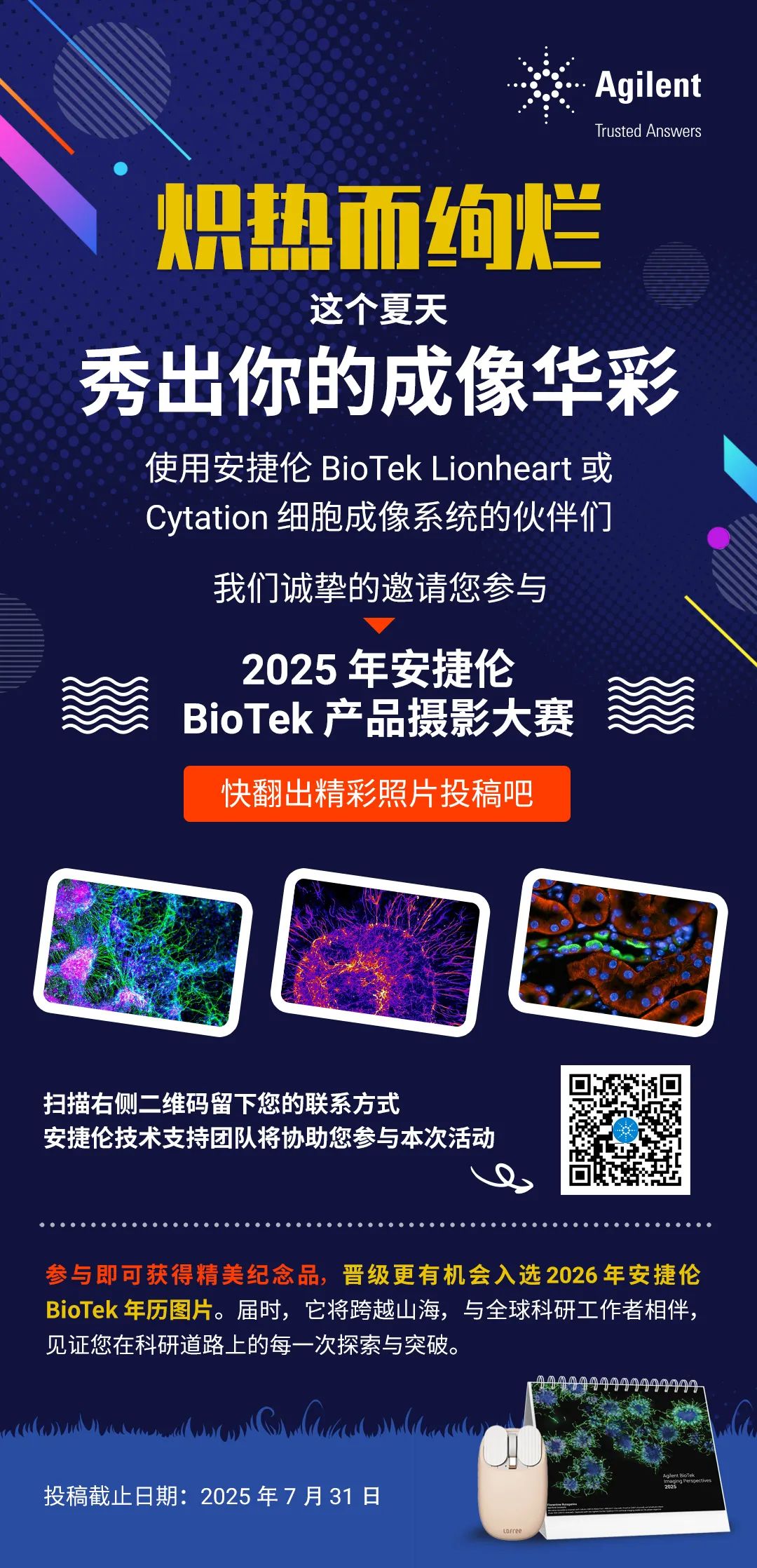 以微观 见世界 | 2025 年安捷伦 BioTek 成像作品征集活动火热来袭