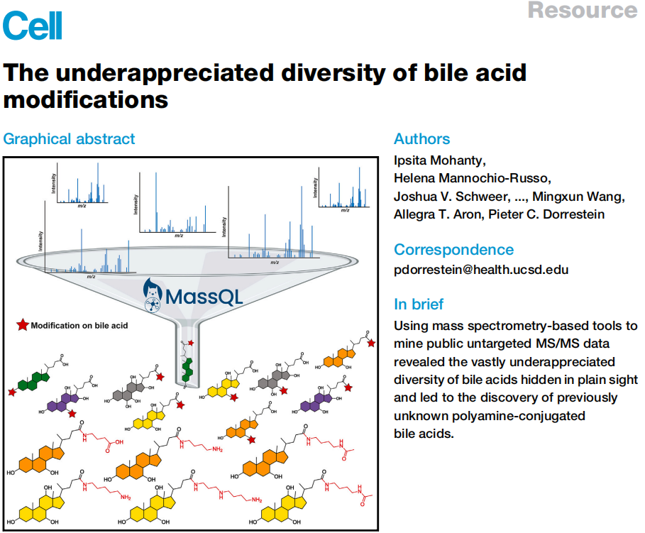 Cell(IF=45.5!)｜加州大学圣地亚哥分校研究团队鉴定新型多胺胆汁酸，为代谢疾病治疗开辟新路径