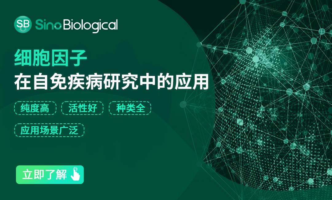 自身免疫性疾病的“幕后黑手”:细胞因子复杂网络机制