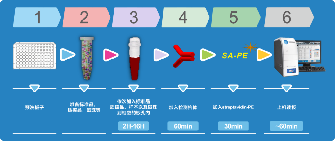 实验检测流程