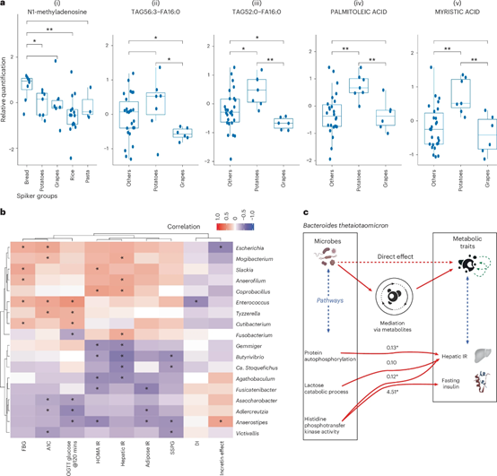 Nature Medicine:饮食干预进入“代谢定制”时代:多组学解析个体化血糖反应机制
