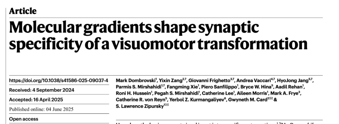 苍蝇为何总在你手边“瞬移”？Nature研究揭秘昆虫逃逸的神经密码