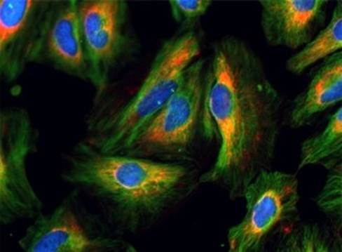 图片包含 华美, 物体, 小孩, 游戏机

AI 生成的内容可能不正确。