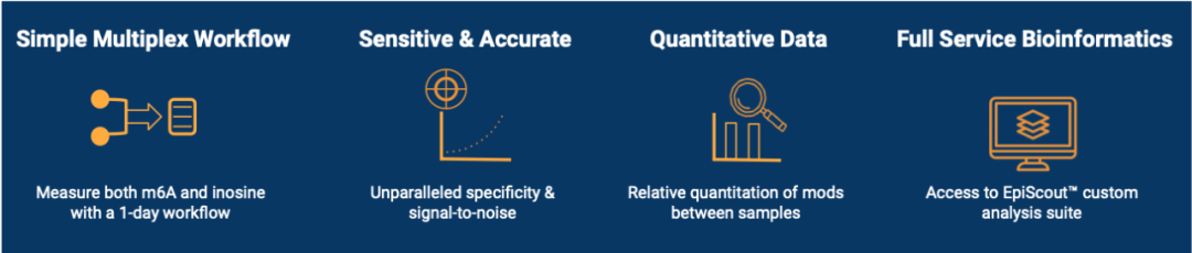 表观修饰检测革命！AlidaBio EpiPlex™：7小时解锁m6A/Inosine双检，临床样本最低20ng起检