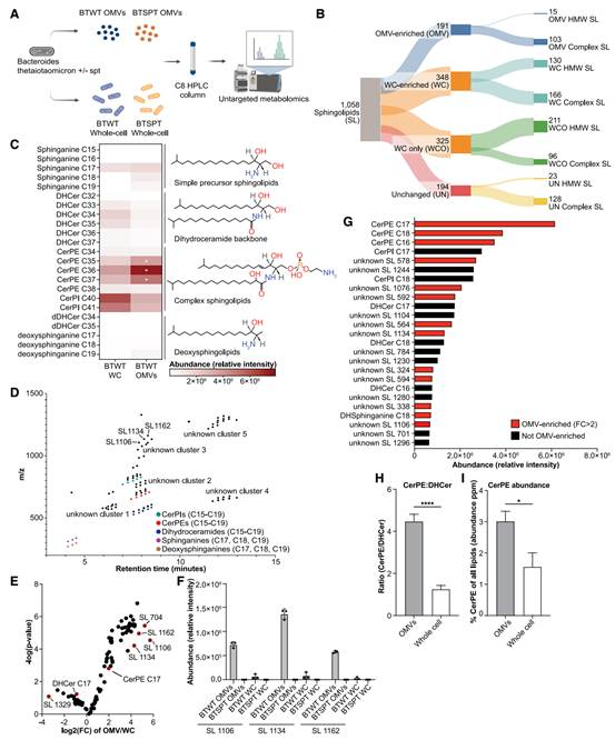Cell Host & Microbe:肠道细菌鞘脂介导宿主构筑抗炎防线