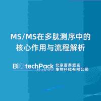 MS/MS在多肽测序中的核心作用与流程解析