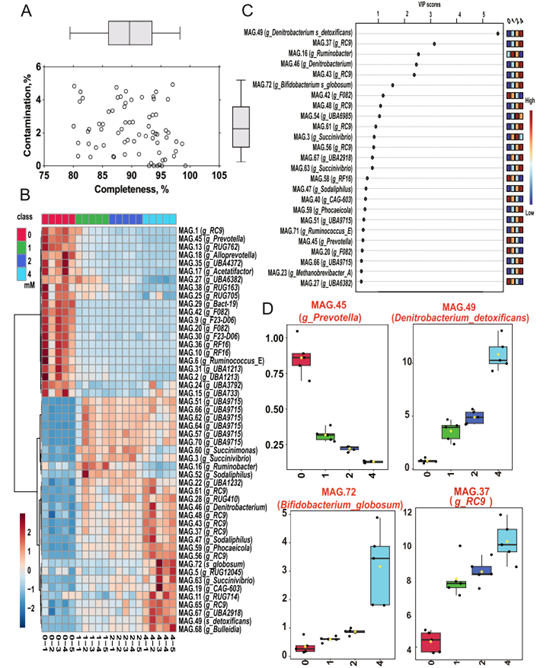 Microbiome：王加启/赵圣国团队揭示大蒜素提高反刍动物氮利用率的分子机制
