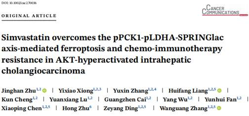 Cancer Communications：张万广等揭示AKT过度激活型肝内胆管癌的铁死亡及化学免疫治疗抵抗的新机制