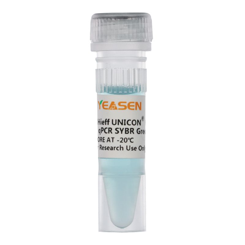 2×实时荧光定量PCR扩增预混液(qPCR试剂盒)