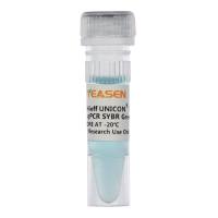 2×实时荧光定量PCR扩增预混液(qPCR试剂盒)