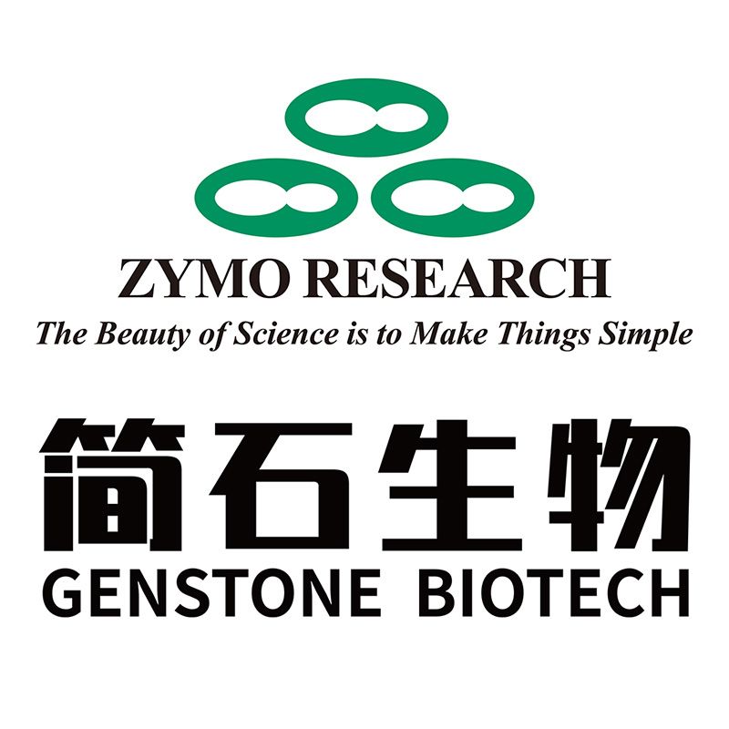 TOP10 感受态细胞