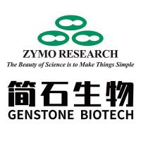 TOP10 感受态细胞