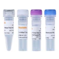 逆转录预混液(含gDNA污染去除) Hifair® V one-step RT-gDNA digestion SuperMix for qPCR