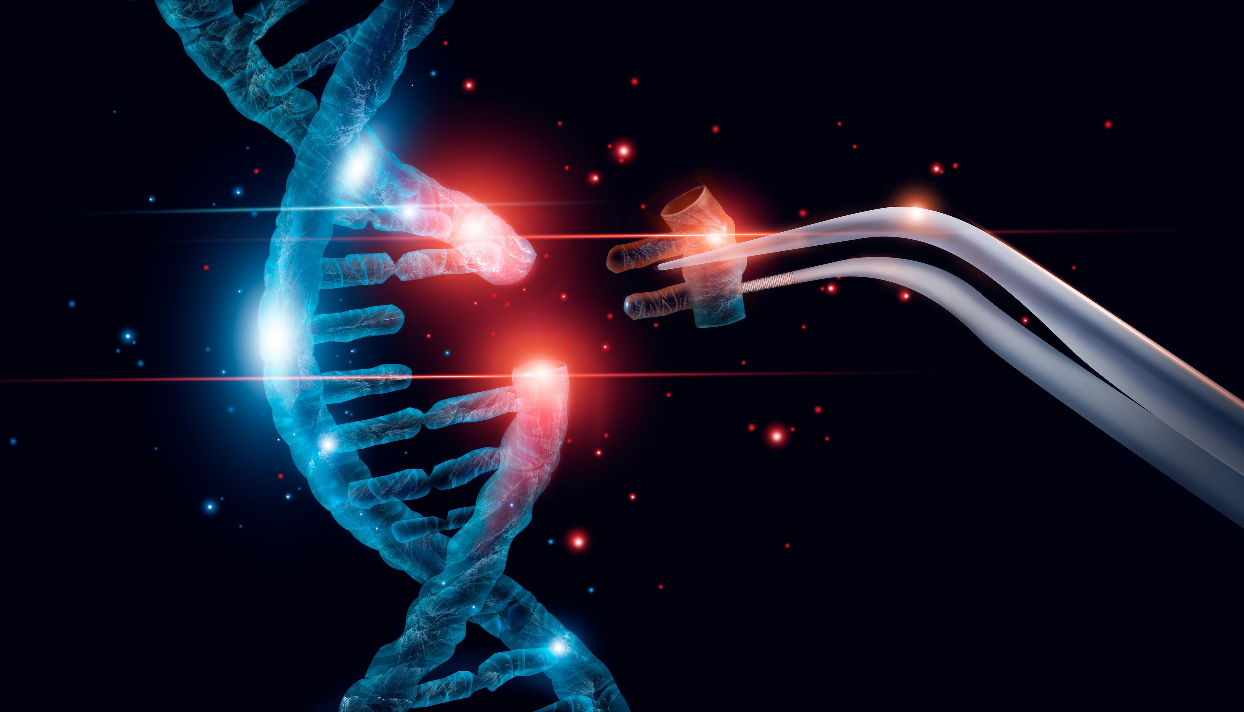 Takara限制酶大放送，科研利器超值购！