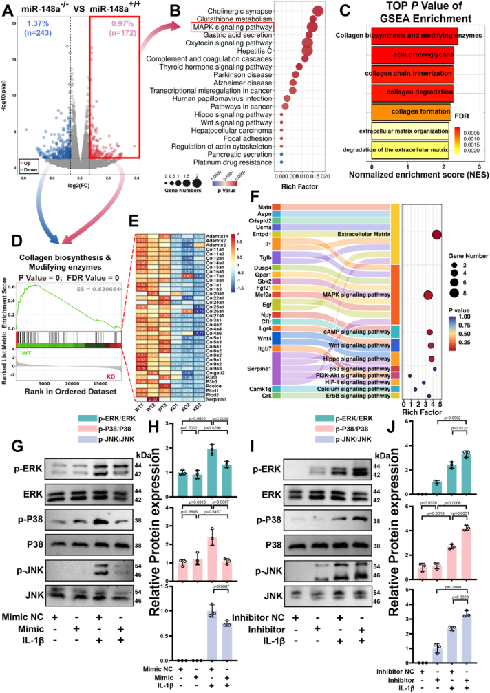 转录组分析 转录组分析