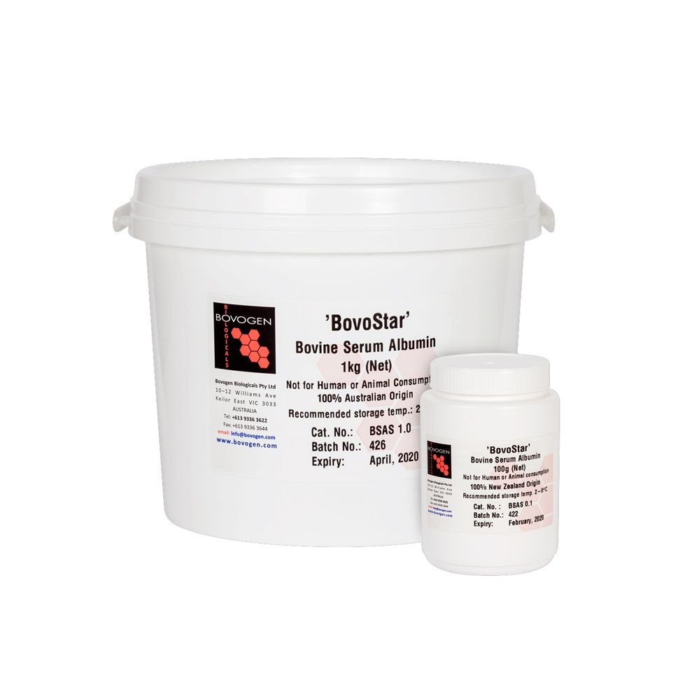 牛血清白蛋白  BSA 