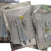 白介素23α(IL23a)活性蛋白,人