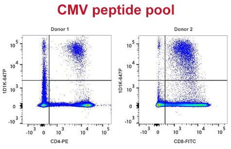 PepPool：人巨细胞病毒（CD4和CD8 相关）肽库促销季，助力科研加速跑