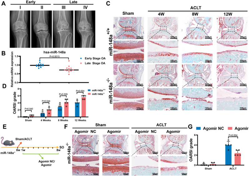 外泌体技术服务 外泌体技术服务