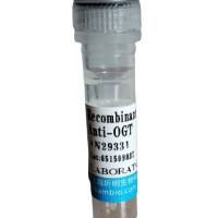 转化生长因子α(TGFa)活性蛋白,人