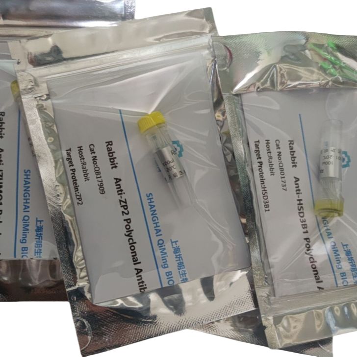 白介素1η(IL1h)活性蛋白,人