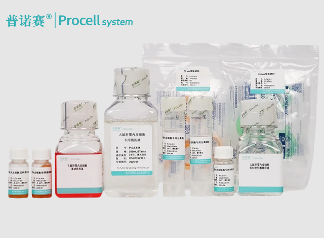 大鼠肝窦内皮细胞分离培养试剂盒：高纯度细胞提取，降低培养成本