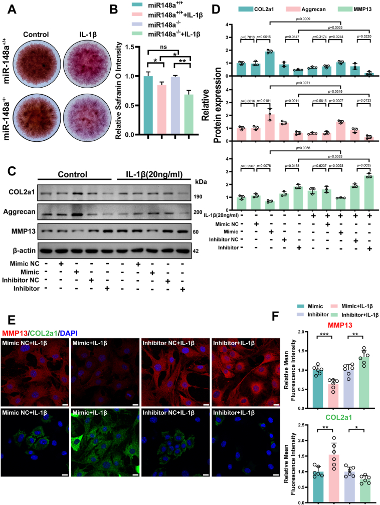 细胞转染 细胞转染