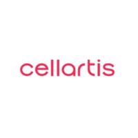 Y50301 Cellartis iPS向血管内皮细胞定向分化培养 1kit