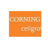 20801-0500 GMP Serum-free Dendritic Cell 树突状细胞（DC