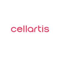 Cellartis iPS向血管内皮细胞定向分化培养
