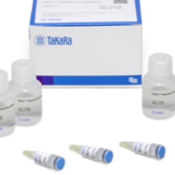 Xfect RNA Transfection Reagent转染试剂